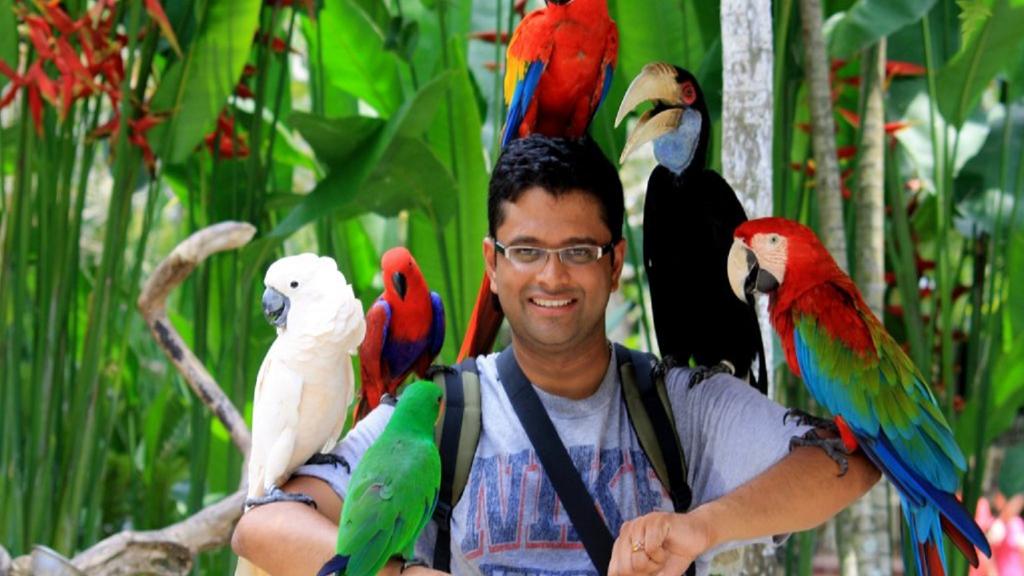 Bali Bird Park - Ticket - Image 3